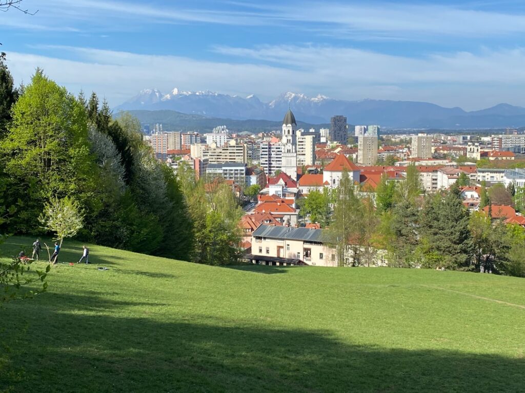 brown and white concrete houses near green trees under blue sky during daytime