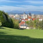 brown and white concrete houses near green trees under blue sky during daytime