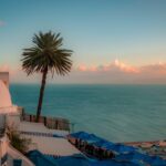 A view of a building with a palm tree in the foreground