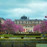 white and black concrete building near purple leaf trees under white clouds and blue sky during