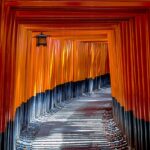 fushimi inari shrine, torii, temple, shinto, torii gates, architecture, oriental, traditional, shrine, heritage, ancient, historic, historical, famous, japanese, asian, kyoto, japan, zoom background, japan, japan, japan, japan, japan