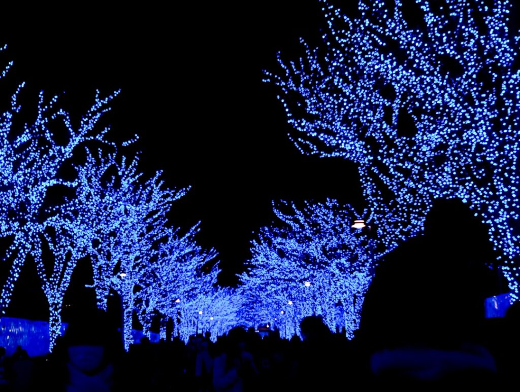 Tokyo Late-Spring Urban Discovery